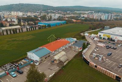 Hală de depozitare sau producție | zona Shopping City - 4