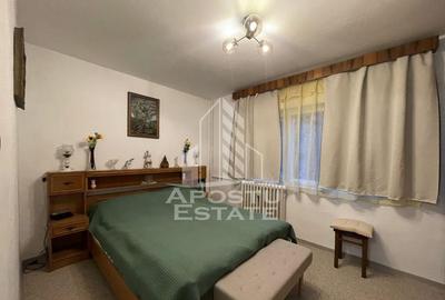 Apartament 2 camere, proaspat renovat, zona Micalaca Apartament 2 camere, proaspat renovat, zona Micalaca - 6