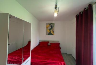 Apartament cu 5 camere decomandat, mobilat în Gheorghe Doja - 11