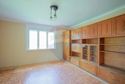 Casa cu 4 camere de vanzare ?i teren 4063 mp, in Ineu... - 5