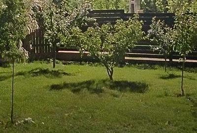 Casă cu 4 camere cu Teren 200 Mp în Central - 2