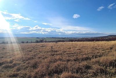 Teren Extravilan - langa DJ 106 \  Bavaria \ Sibiu - 2