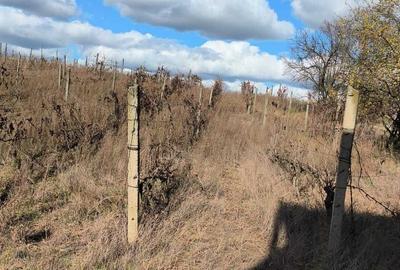 Casă cu 4 camere în Central - 4