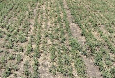 Spațiu comercial, în Ghighiu - 1