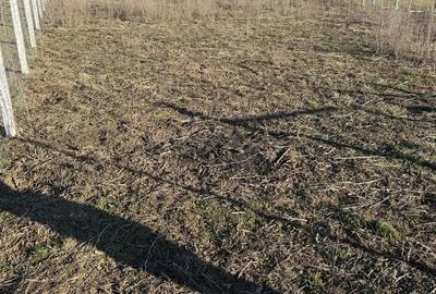 Spațiu comercial, în Bod - 1