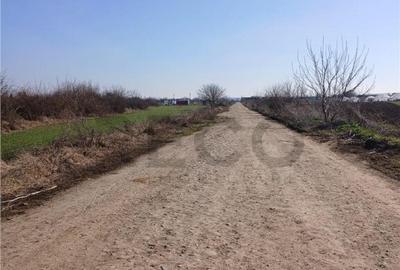 RECO Teren intravilan aproape de zona industriala Biharia - 7