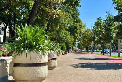 Apartament cu 3 camere decomandat, mobilat în Copou - 2