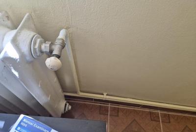 Apartament semidecomandat în Vidra - 6