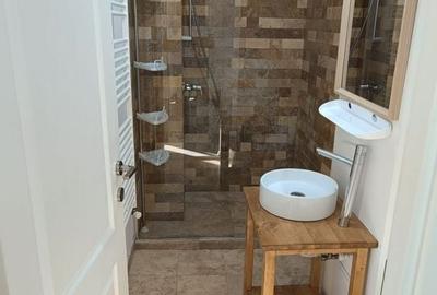 Apartament 1 camera de inchiriat - IC Frimu, 28 mp, complet mobilat - 8