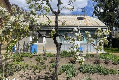 Casă cu 4 camere cu Teren 200 Mp în Gropnița - 5