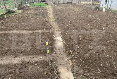 Casa de vanzare cu gradina, 5 camere,  Nojorid - 4