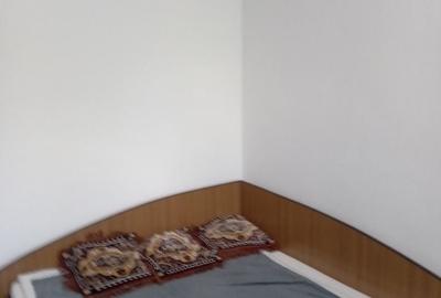 Apartament cu 2 camere semidecomandat în Racovița