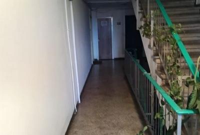 AP. 2 CAMERE PAJURA, PET-FRIENDLY, COMPLET RENOVAT, BLOC REABILITAT - 17