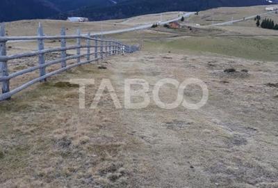 Teren extravilan de vanzare 3235 mp in Paltinis Sibiu - 2