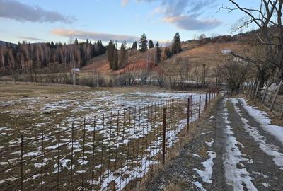 Teren Construcții intravilan de 2000 mp, în Dorna-Arini - 4