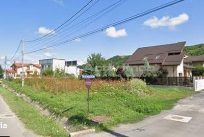 Teren de 6345 mp, în Aninoasa - 2