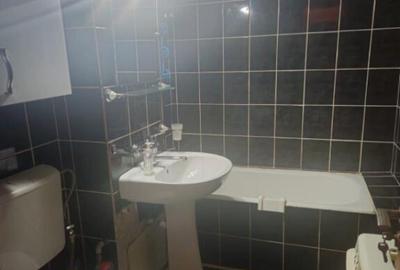 Apartament de inchiriat, 2 camere, 50 mp, Brazda lui Novac - 5