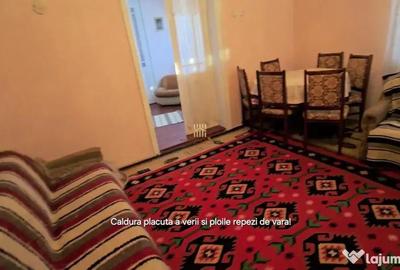 Casă cu 6 camere cu Teren 12500 Mp în Sasca Mică - 6