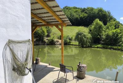 Casa de vacanta, cu lac, 5640 mp teren, Huta, com. Chiuiesti, jud. Cluj Casa de vacanta, cu lac, 5640 mp teren, Huta, com. Chiuiesti, jud. Cluj - 36