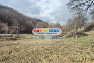 Teren Construcții intravilan de 2248 mp, în Răzvad - 10