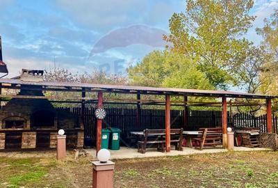 Casa 7 camere de inchiriat in Ovidiu , Constanta - 8