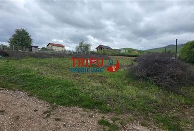 Teren de 884 mp, în Cetate - 5