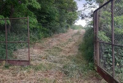 Teren de 34422 mp, în Bădeni - 5