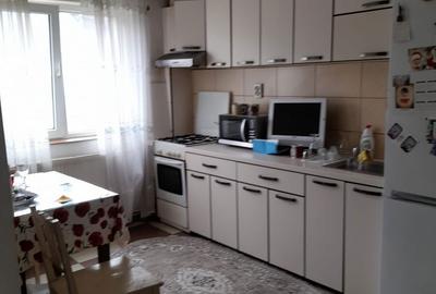 Apartament cu 2 camere semidecomandat în Paltin