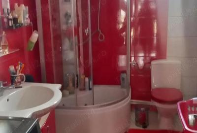 Casă cu 2 camere cu Teren 10000 Mp în Sanislău - 4