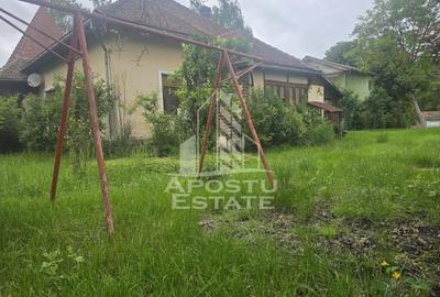 Proprietate cu potential turistic in Gurahont - 27