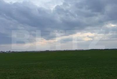 Teren în Pielești - 1