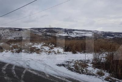 Investitie! Teren intravilan in supratafa de 4863 mp, coloni Investitie! Teren intravilan in supratafa de 4863 mp, coloni - 1