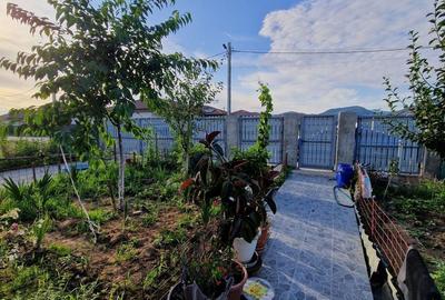 Casă spațioasă de vanzare, 4 camere, 6 Ari, Săsar - Comision 0% - 11