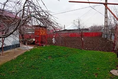 Casă cu 2 camere în Central - 3
