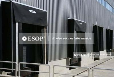 Spațiu comercial, de 3,000 mp, în Pantelimon - 2