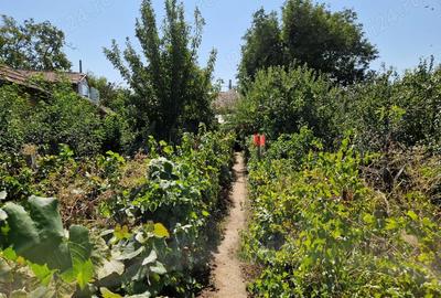 Casa + curte 900m2, comuna Daneti, jud Dolj - 3