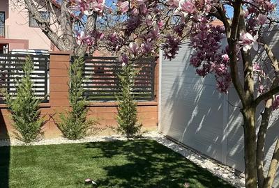 Casă cu 5 camere în Chișoda - 4