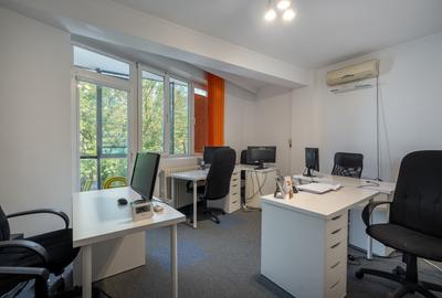 Birou, de 923 mp, în Drumul Sării - 11