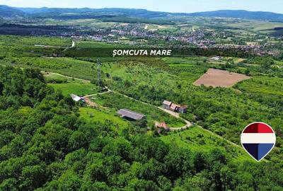Teren Construcții intravilan de 5700 mp, în Sud-Vest - 11