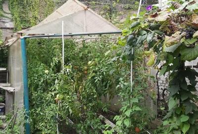 Casă individuală cu 3 camere cu Canalizare în Muncitoresc - 8