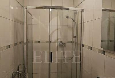 Apartament 2 camere în zona DIANA - 14