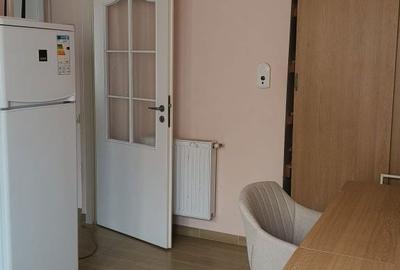 Garsonieră decomandată în Dosu Bricii - 5