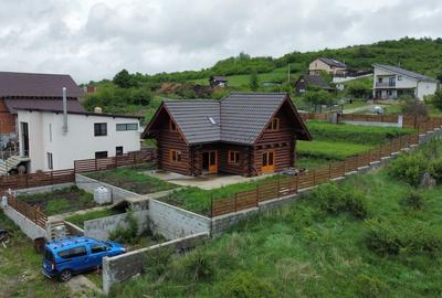 Casă cu 2 camere în Chinteni - 1