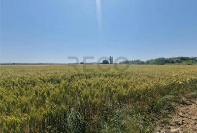 Teren de 4110 mp, în Fughiu