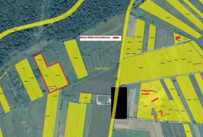 Spațiu comercial, în Cisnădioara - 4