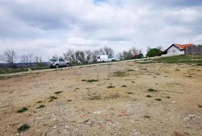 Teren de 26500 mp, în Calea Caransebeșului - 10