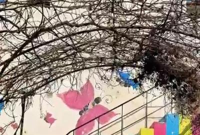 Casă cu 3 camere cu Canalizare în Podu Roș - 11