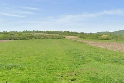 Spațiu comercial, în Central