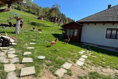 De vanzare pensiune in Com Tasca, Teren 3800 mp, toate utilitatile, 204.990 euro - 2