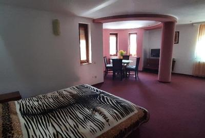 Casa de vacanta sau pensiune situata langa Cabana Trei Brazi Predeal - 14